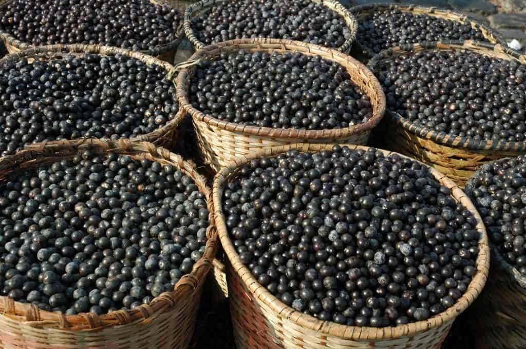 acai berry benefits, are acai bowls healthy, whats acai, what does acai taste like, is acai healthy