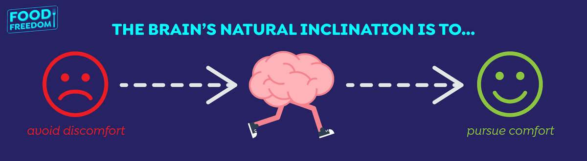 The Nature of the Brain: Go toward comfort, away from discomfort