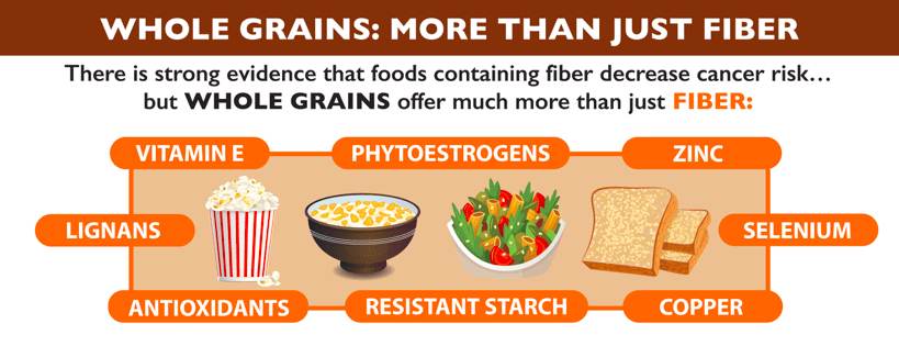 Are Grains Bad For You? Is Gluten Healthy? & What About Legumes?