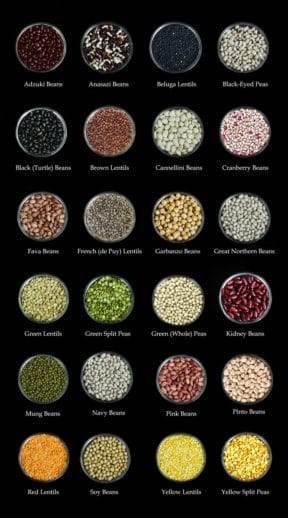 Are Grains Bad for You