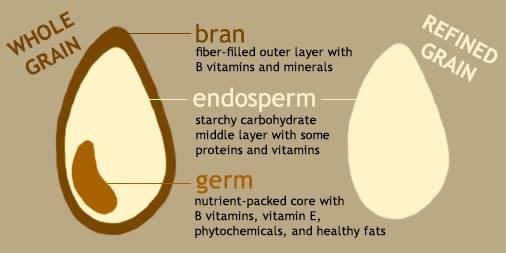 Are Grains Bad for You