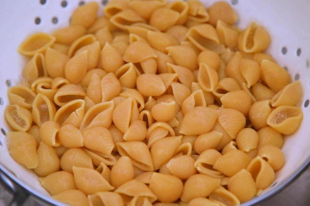 Chickpea Pasta Shells