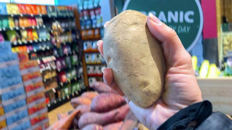 holding a white potato inside Whole Foods.