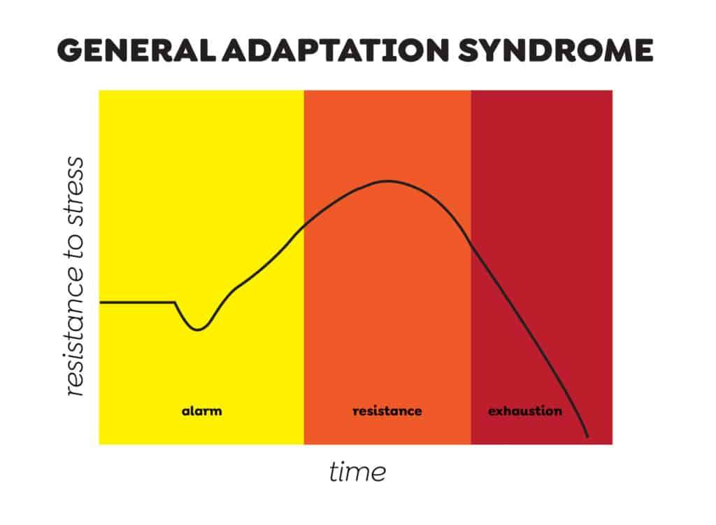 General Adaptation Syndrome: effects of stress on the body over time