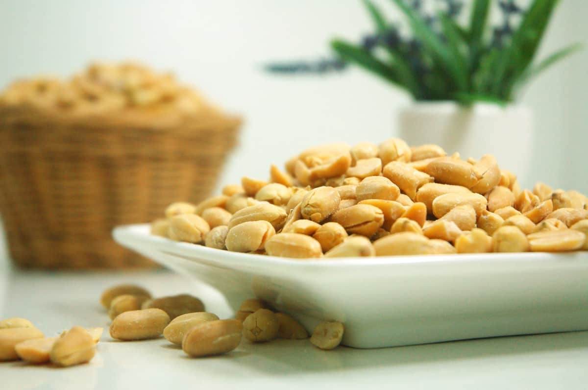 Recipe photograph