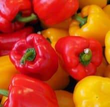 Recipe photograph