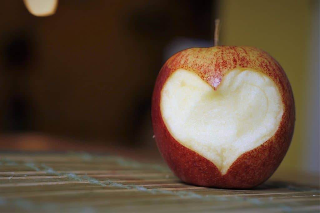 How to have a Healthy Relationship with Food, how to change your relationship with food