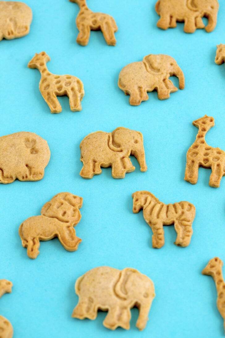 Homemade Animal Cracker Recipe