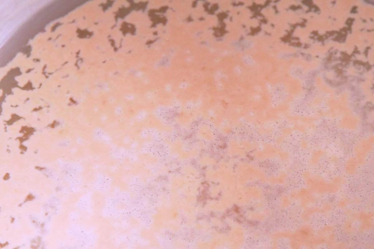 Let yeast bloom for 5 minutes.