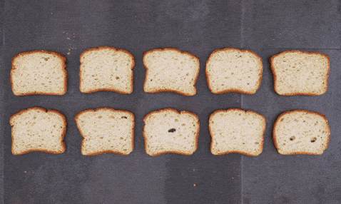 How to Meal Prep Sandwiches