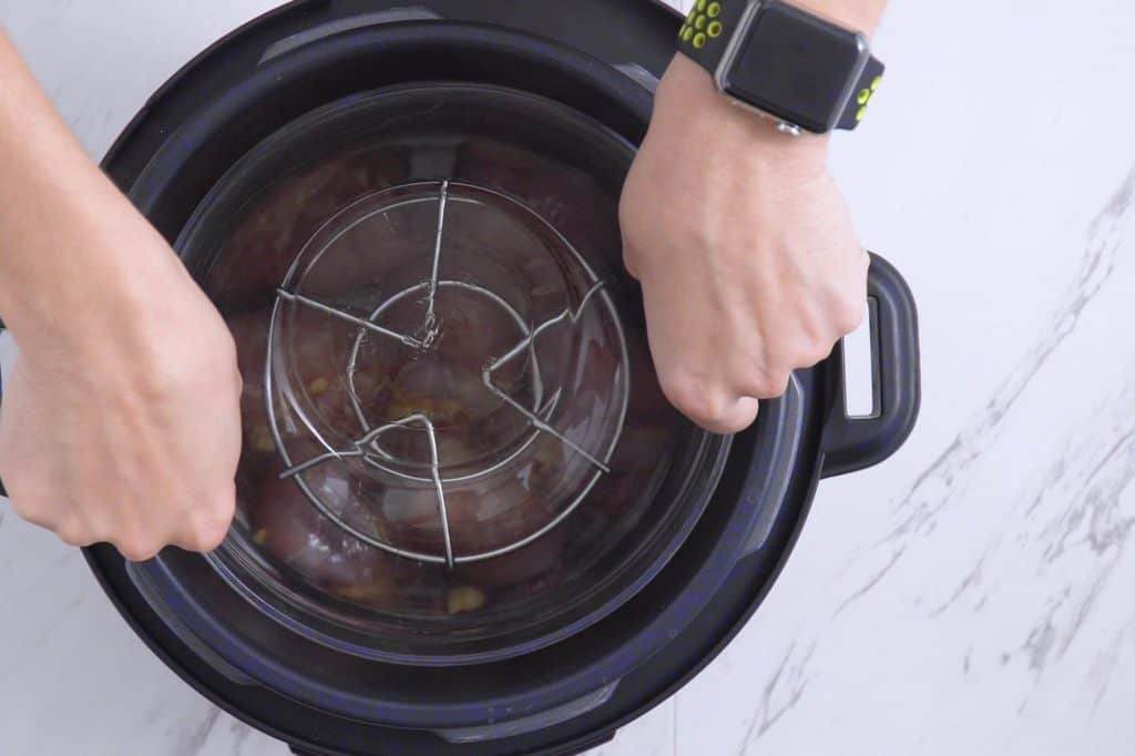 instant pot chicken and rice recipes