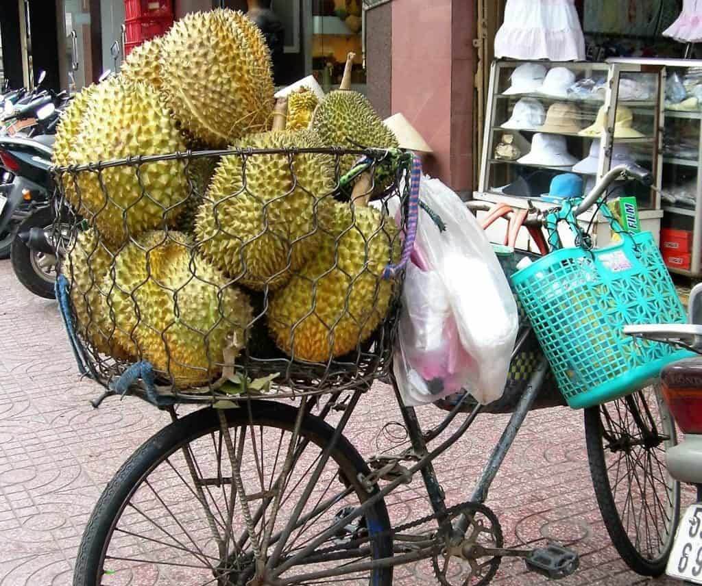 bicycle carrying jackfruit