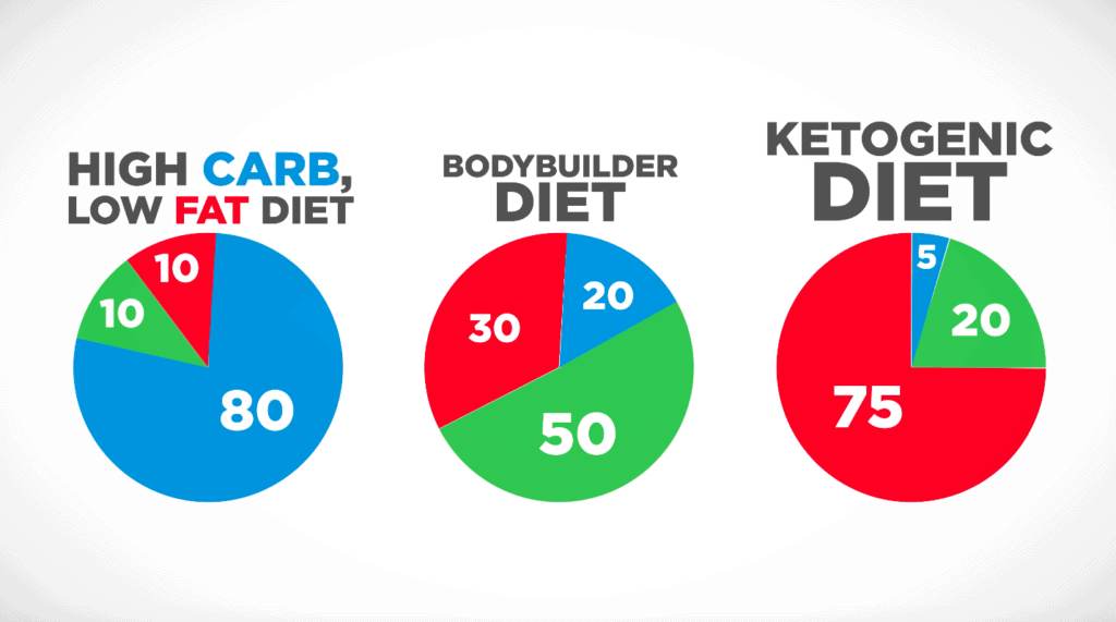 Ketogenic Diet Macros, how much fat to eat on a keto diet, is keto diet safe, ketosis definition, ketosis side effects, keto diet for beginners, keto diet basics