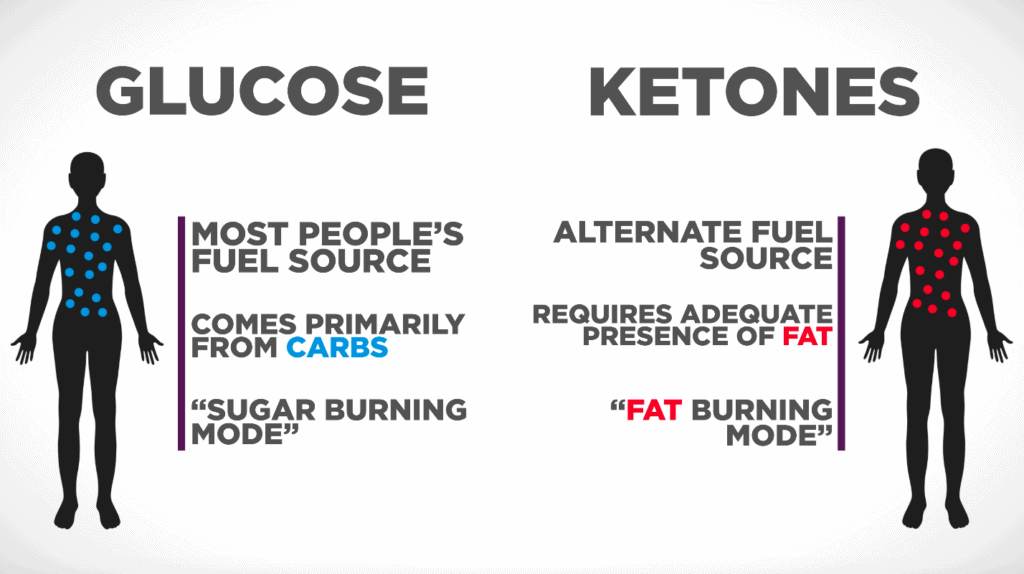 ketosis definition, how does ketosis work, what does keto mean, how to get into ketosis, ketogenic diet resource, what is ketogenic