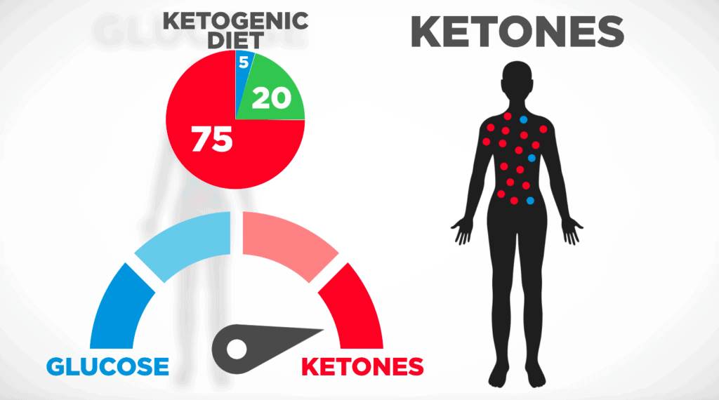 What Are Ketones, keto diet basics, is keto safe, benefits of ketogenic diet, what’s the keto diet,