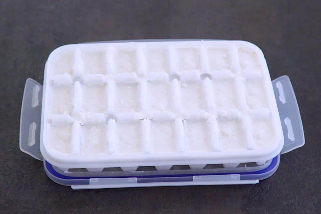 Coconut Milk Smoothie Cubes