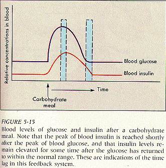 What is blood sugar, what is insulin, whats a low carb diet, low carb diet side effects, ow carb keto diet, do low carb diets work keto diet for beginners, keto diet basics