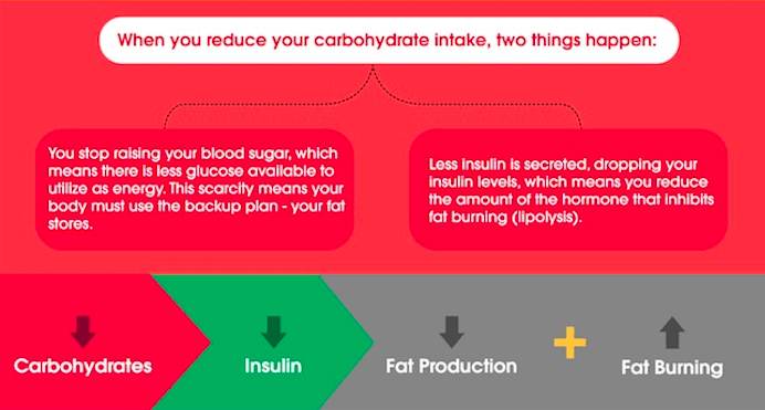 Benefits of a low carb diet, is a low carb diet healthy, what’s a low carb diet, low carb diet tips, starting a low carb diet, low carb diet for beginners