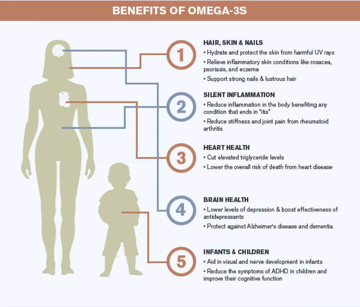 Benefits of Omega 3s, what is omega 3, omega 3 vs omega 6, omega 369