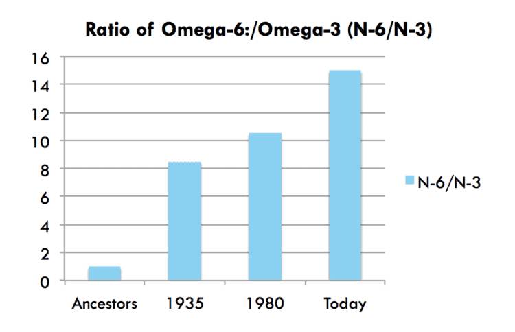 Omega 6 Omega 3 Ratio Imbalance, Chronic Inflammation Chronic Disease, inflammation in the body, what foods cause inflammation, foods that help with inflammation, inflammatory foods to avoid, is omega 6 bad