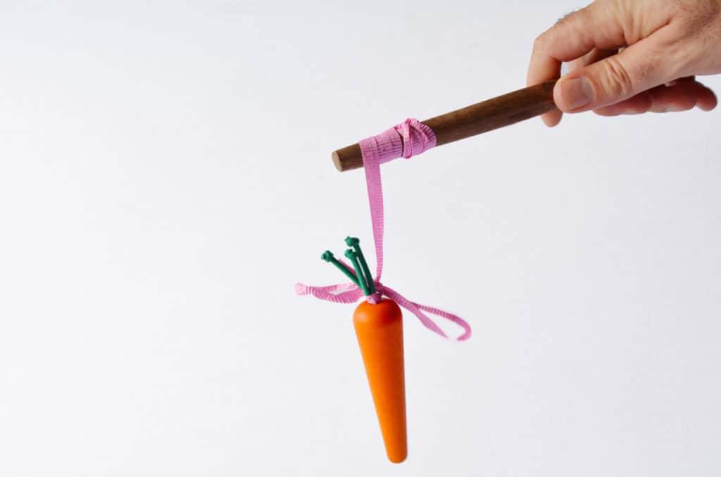 Recipe photograph