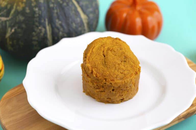 Vegan Pumpkin Mug Cake