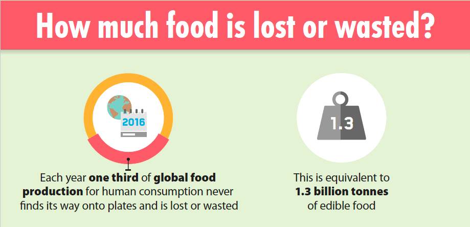 How to Reduce Food Waste At Home