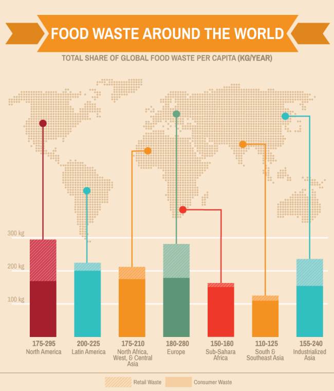 World Food Waste, how to reduce food waste, food waste in America, food waste prevention, how to save food