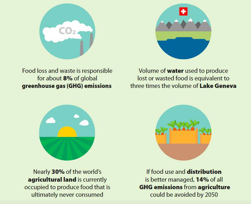 Food Waste Environmental Damage, Environmental Cost of Food Waste, How much food is wasted, how to reduce food waste