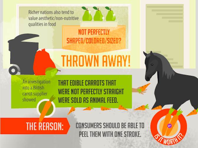 How to Reduce Food Waste, food waste facts, how much food is wasted in Britain, ugly produce, ugly fruit and ugly vegetables
