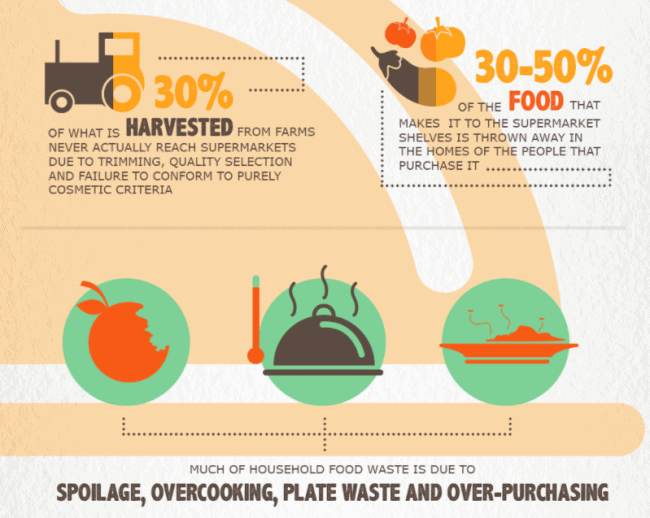 How Much Food is Wasted, How Much Food is Lost, food waste solutions, reduce waste at home, food waste prevention, how to save food