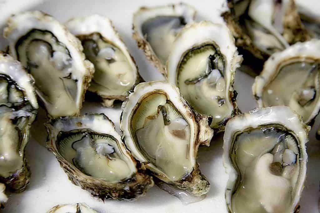 oyster nutrition, superfoods list, what are superfoods