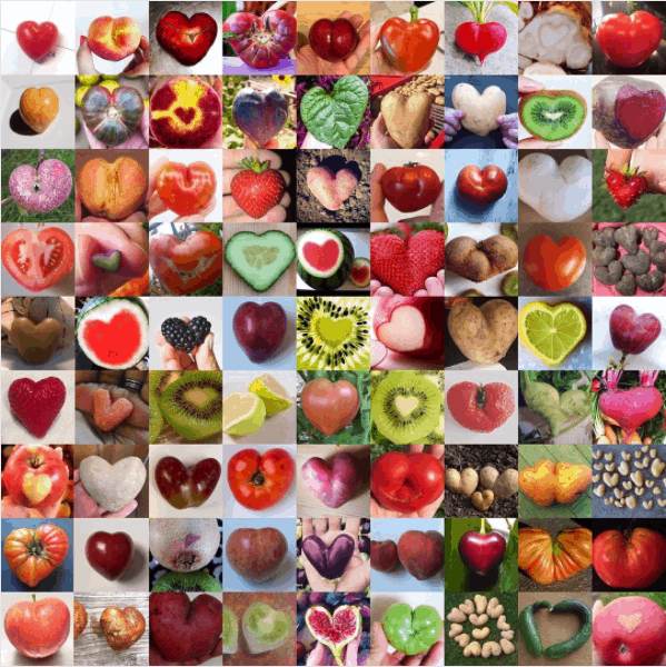 Embracing Ugly Produce & How to Choose Ripe Fruit