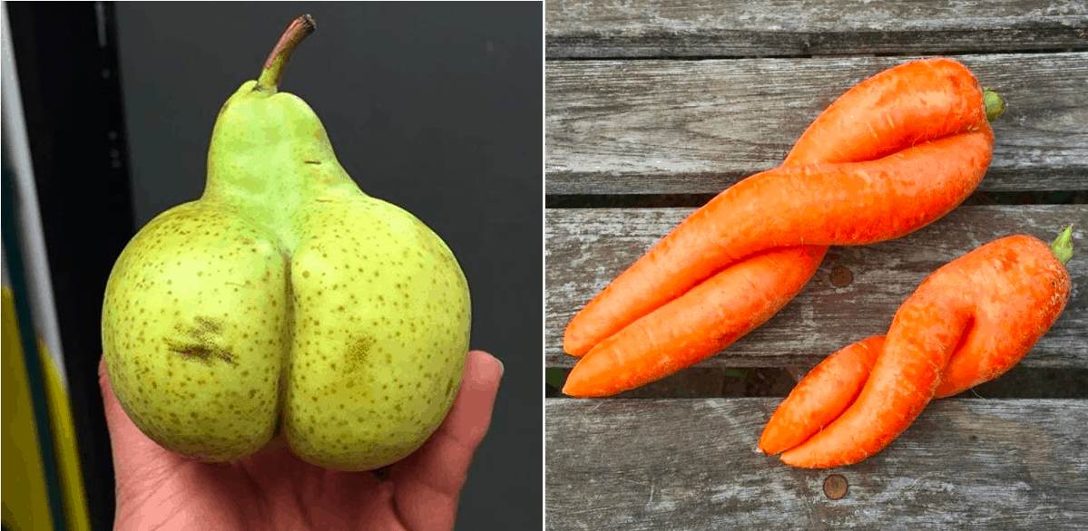 choosing ripe fruit, ugly fruits and vegetables, how to tell if a pear is ripe