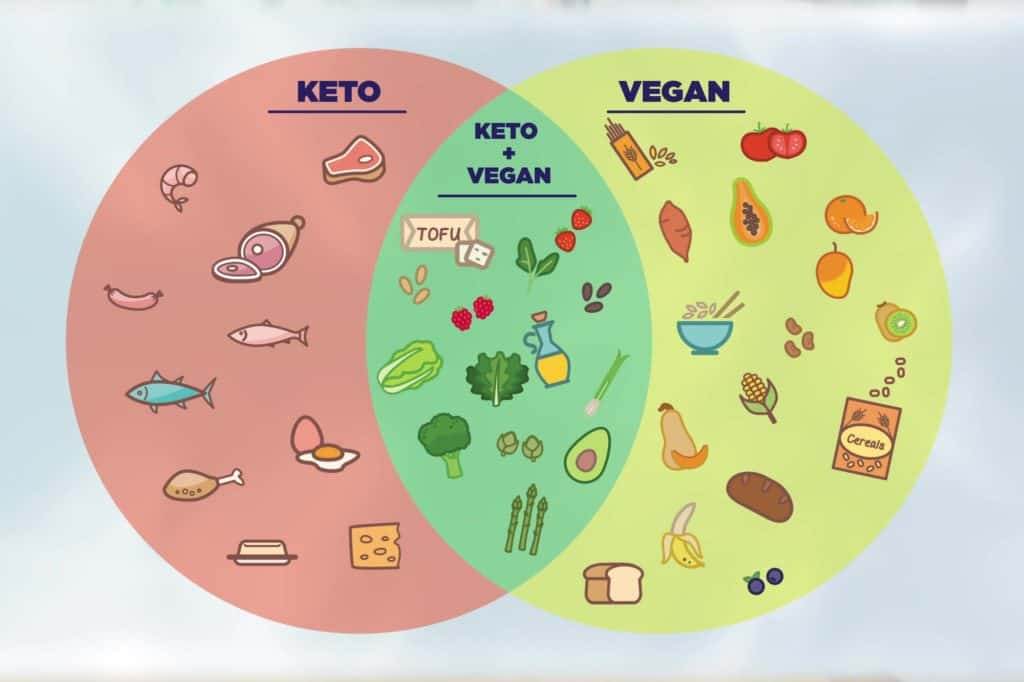 Soy Free Vegan Keto Meal Plan for the Day: 3 Meals + Dessert
