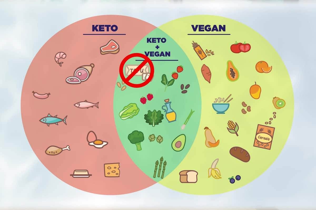 Soy Free Vegan Keto Diet, high fat vegan diet, low carb plant based diet, low carb vegetarian recipes, vegan ketogenic diet, vegan low carb, low carb vegan meals, soy free vegan keto meal plan, vegetarian keto recipes