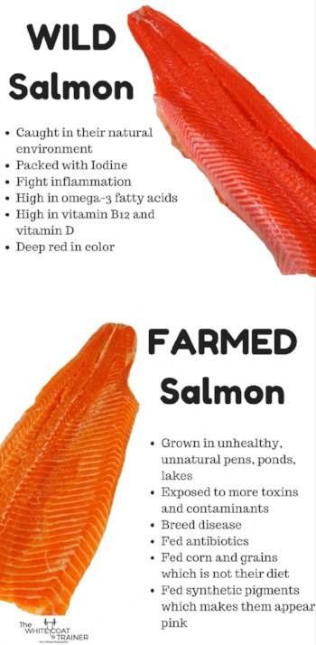 Wild Caught Salmon vs Farmed