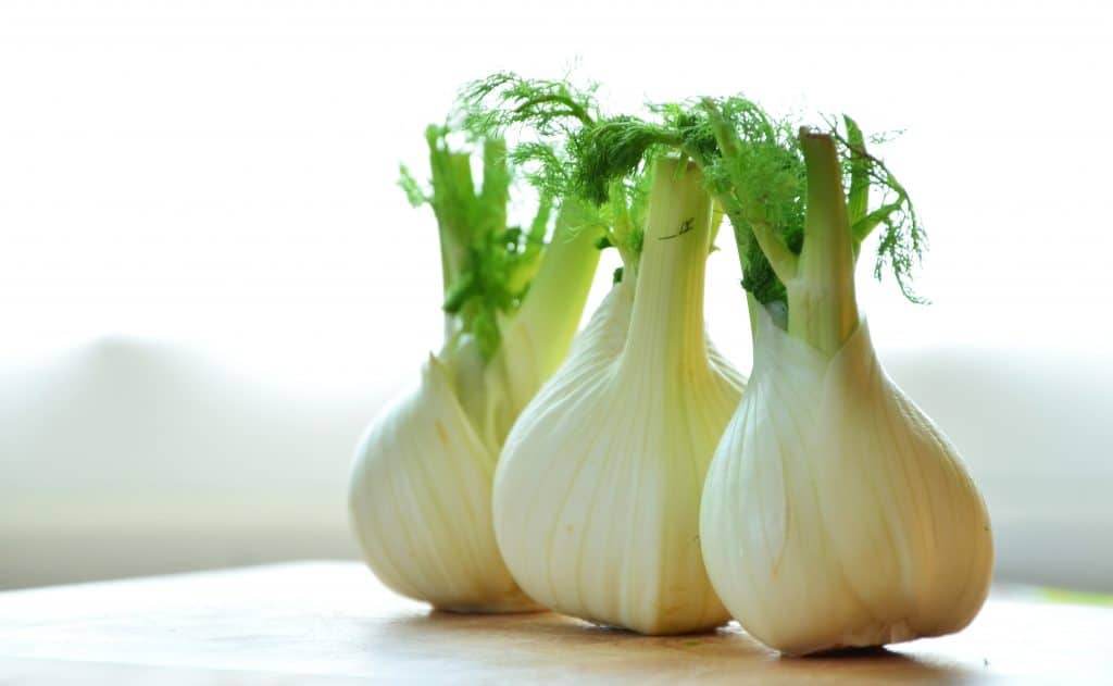 How to cook fennel, what does fennel taste like, how to prepare fennel, how to store fennel, fennel nutrition, recipes with fennel